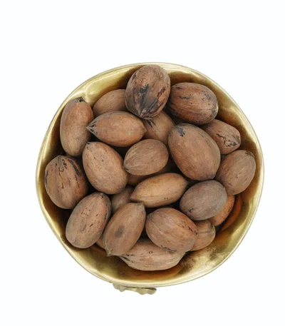 گردو پکان با پوست با کیفیت
